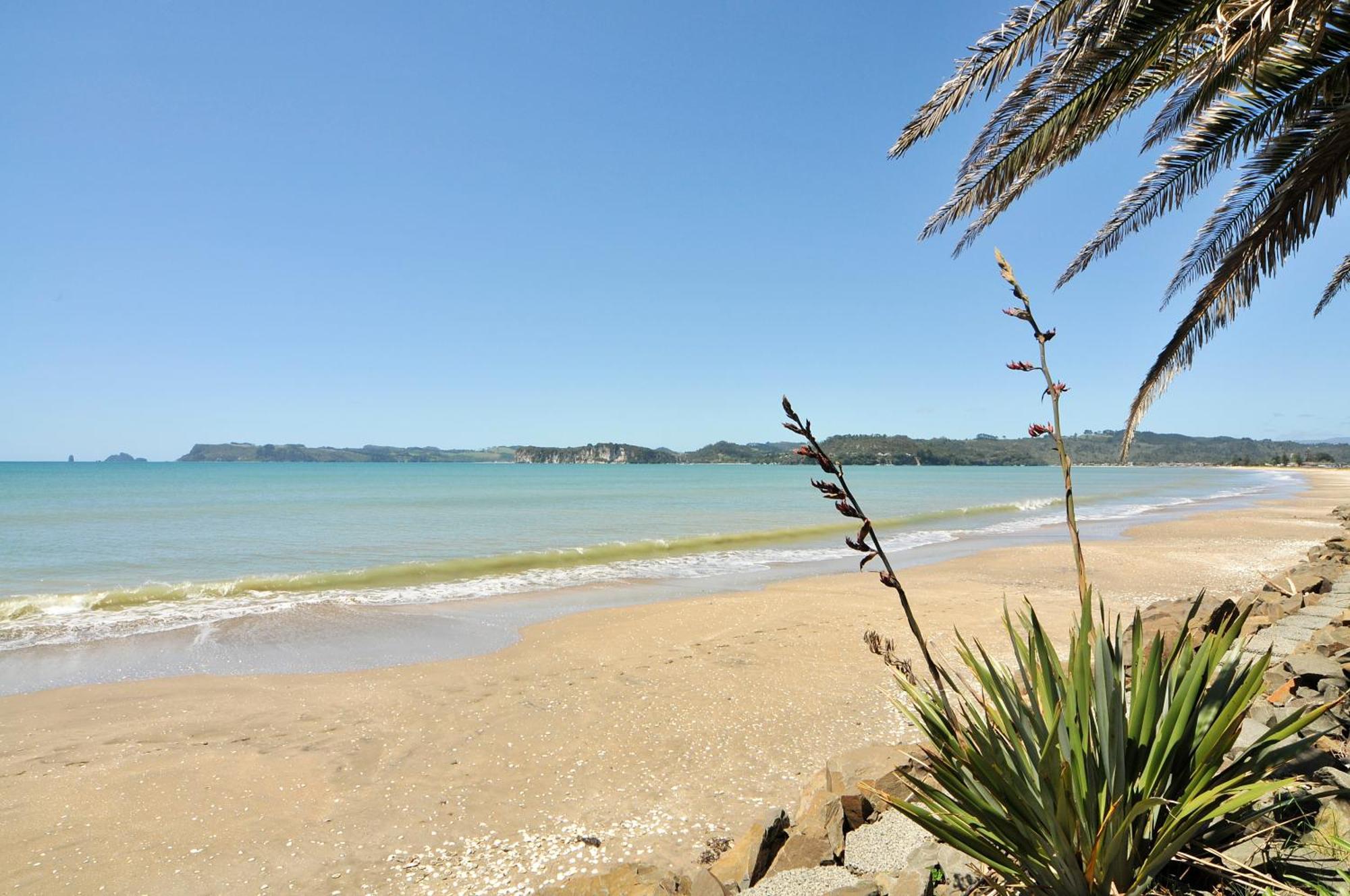 Whitianga Campground Ngoại thất bức ảnh