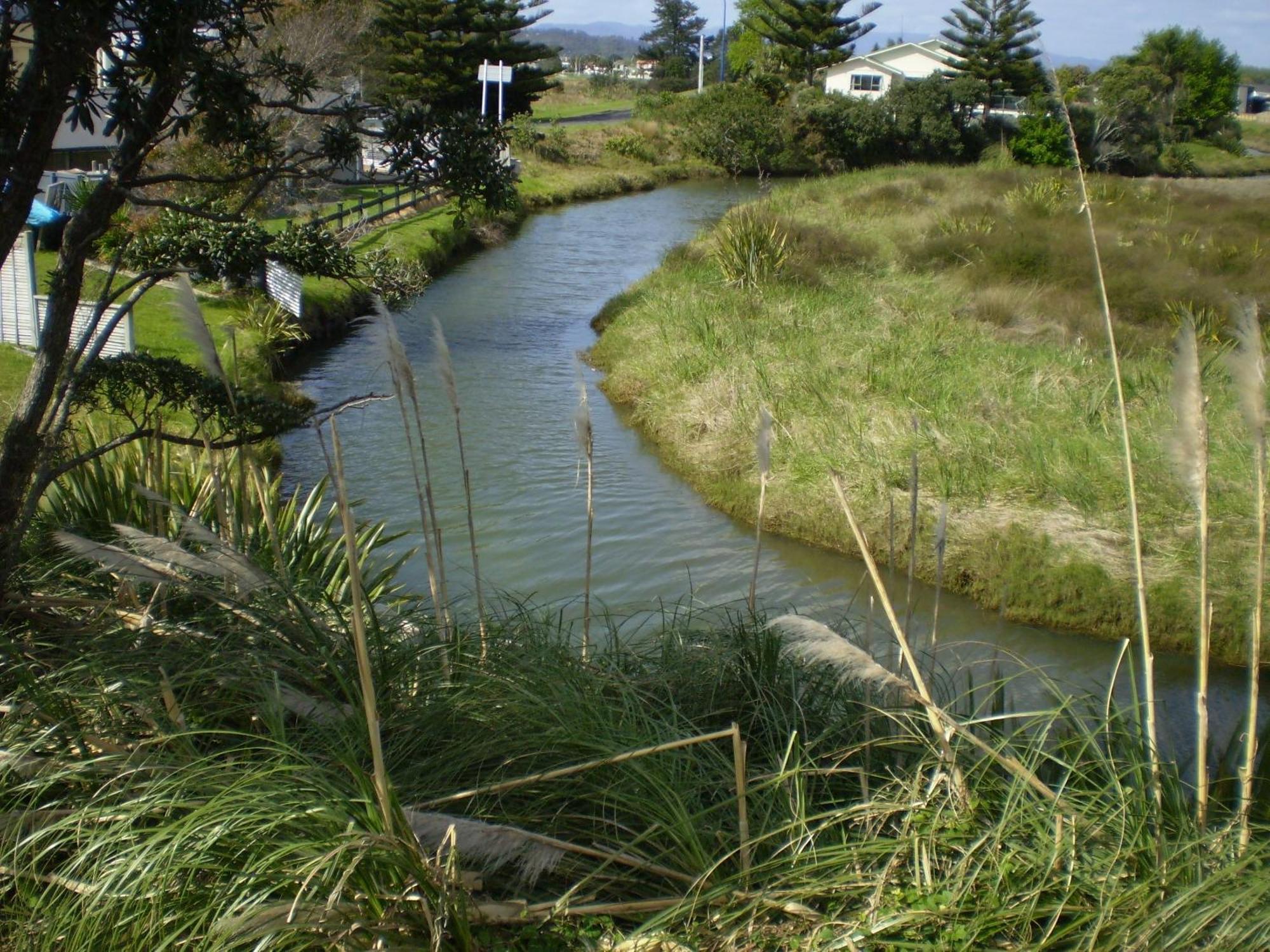 Whitianga Campground Ngoại thất bức ảnh