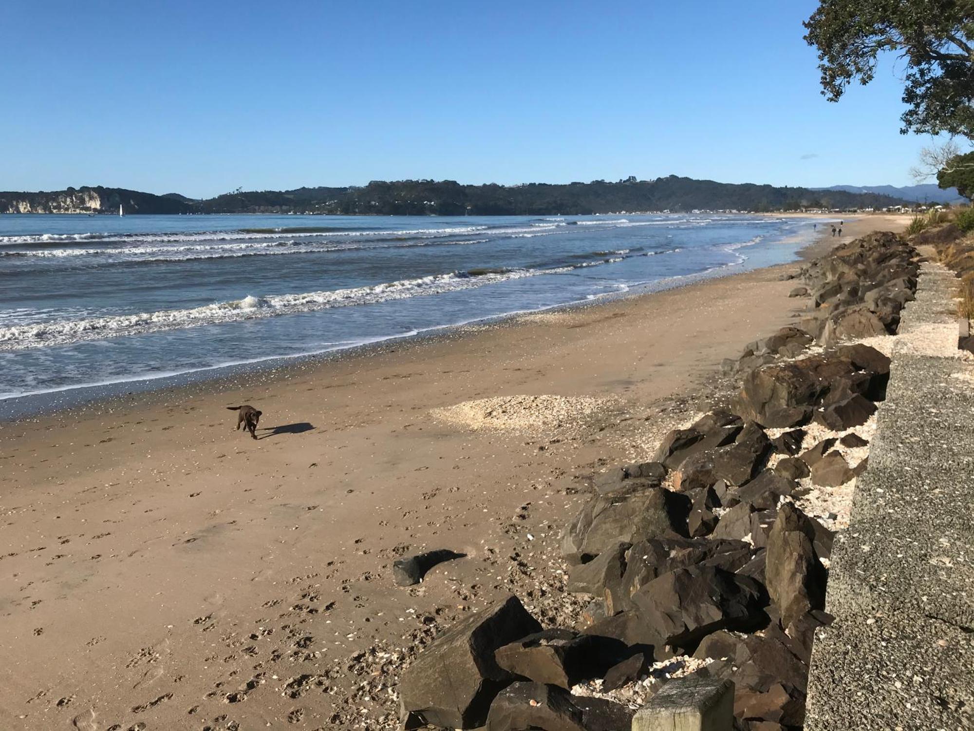 Whitianga Campground Ngoại thất bức ảnh