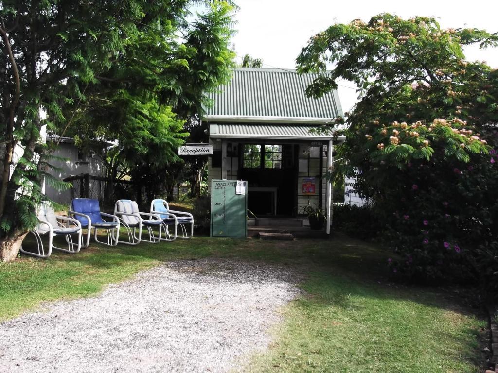 Whitianga Campground Ngoại thất bức ảnh